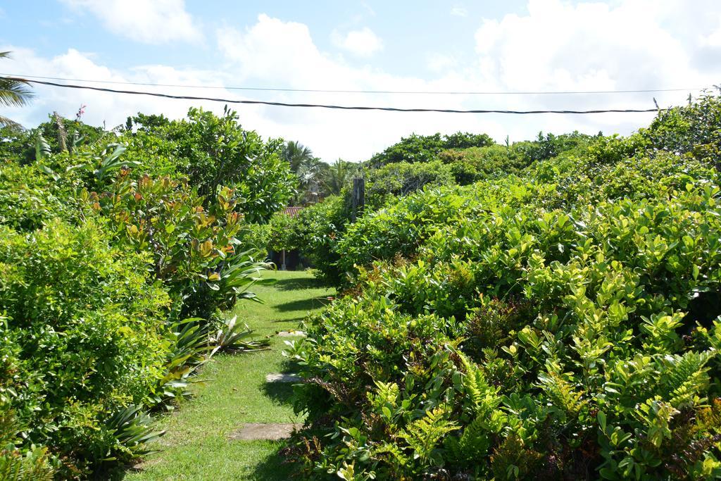 Casa Da Ilha Do Mel - Pousada De Charme 外观 照片